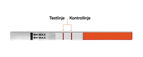 Examen album Resistente Van RFSU Test ofte – Kjøp fra RFSU på nett