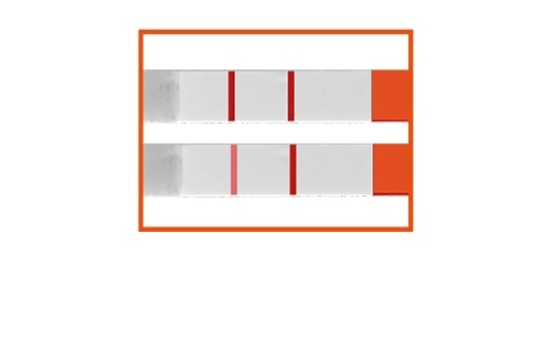 positivt resultat test ofte graviditetstest rfsu