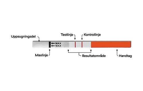 Examen album Resistente Van RFSU Test ofte – Kjøp fra RFSU på nett