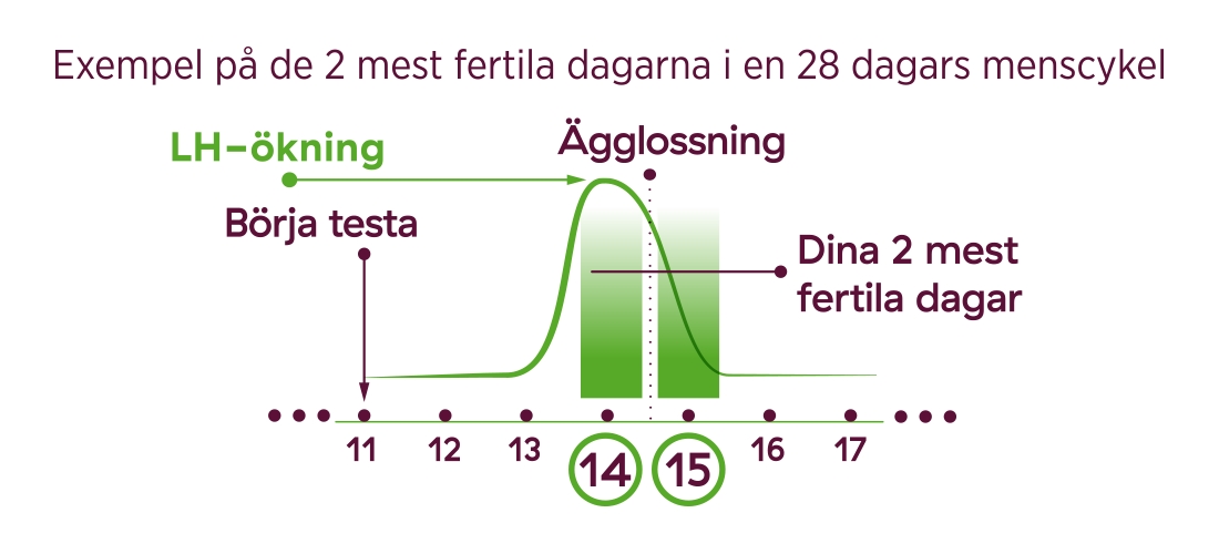 fertila dagar innan ägglossning fertila dagar innan ägglossning