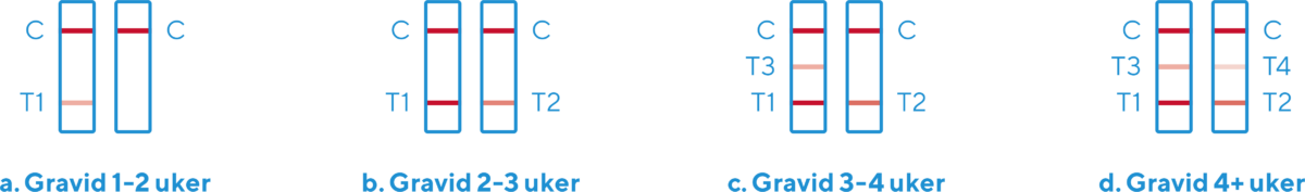 ugeindikator-graviditetstest-rfsu