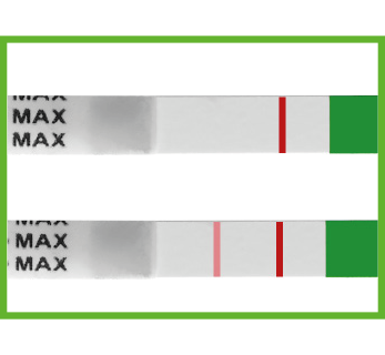 negative-ovulation-test-rfsu