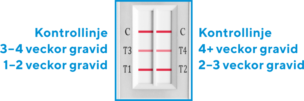 hur-tyda-graviditetstest-med-veckoindikator