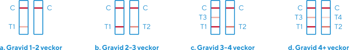 weeks-graviditetstest-rfsu