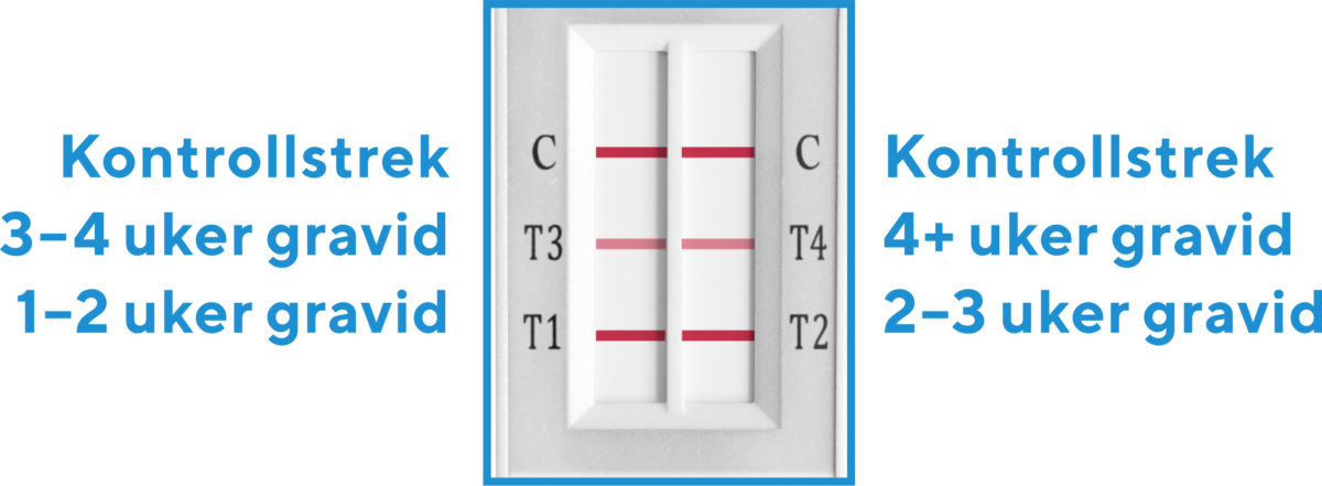 sadan-fungerer-weeks-ugeindiktaor-graviditetstest-rfsu