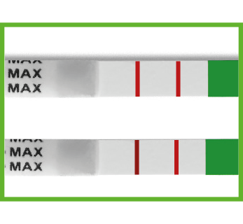 positivt-svar-egglossningstest