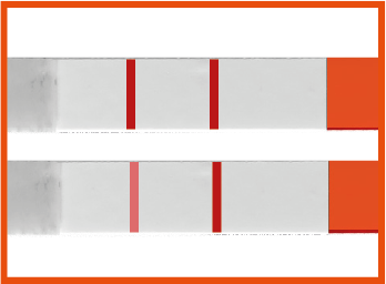 positivt-resultat-testpinner-graviditetstest-strips-rfsu