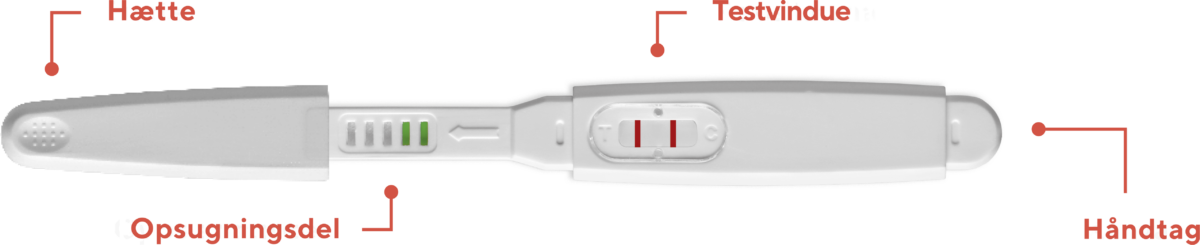 resultat-vindu-graviditetstest-rfsu