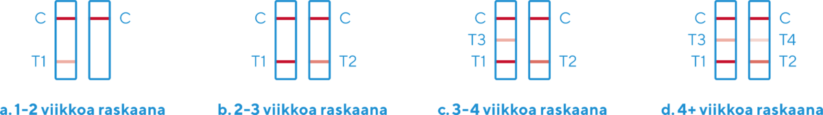 kuinka-tulkitsen-viikkonayton-tuloksen