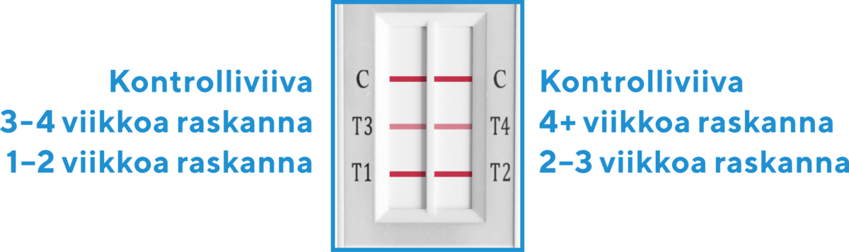 lue-tulos-raskaustesti-viikkonatola-rfsu